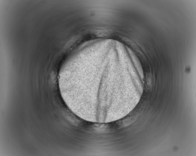 X0000100960667200807221146