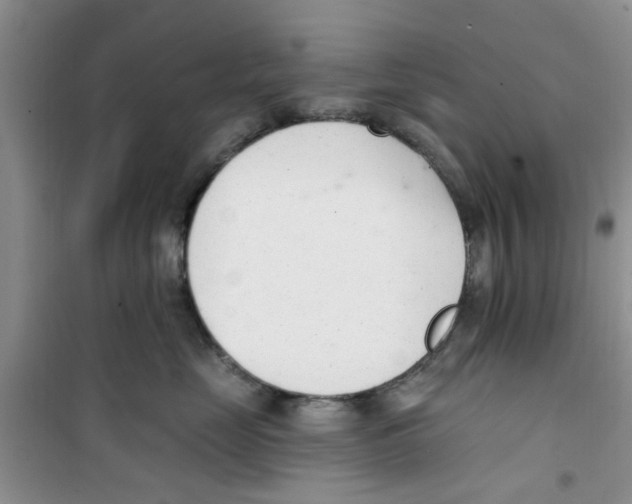 X0000100960669200807221146