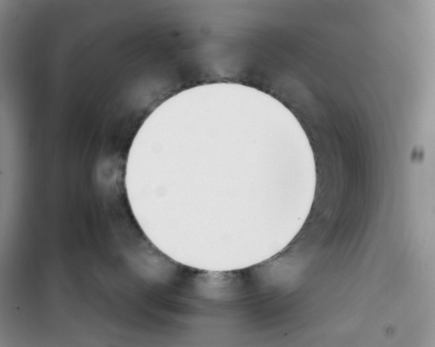 X0000100960672200807221146