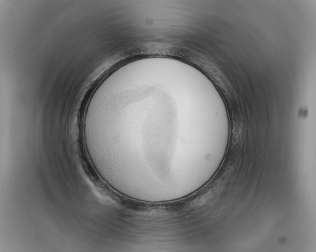 X0000100960674200807221145