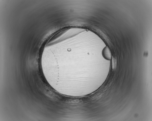 X0000100960675200807221145