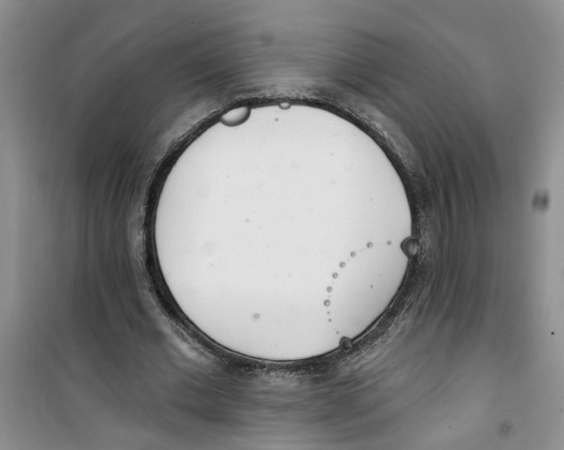 X0000100960677200807221145