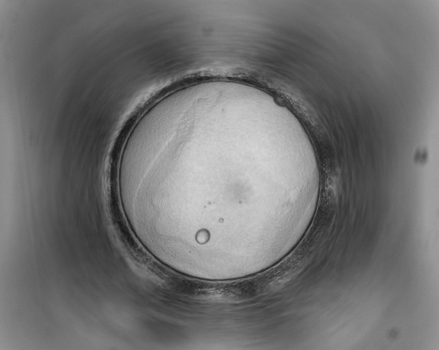 X0000100960678200807221145