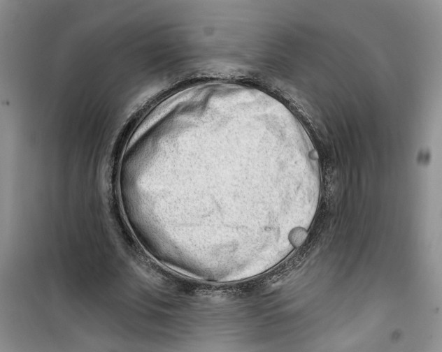 X0000100960679200807221145