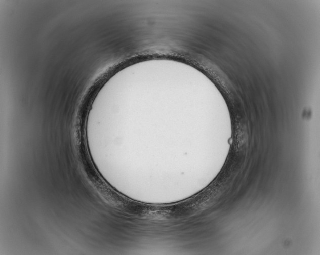 X0000100960680200807221145