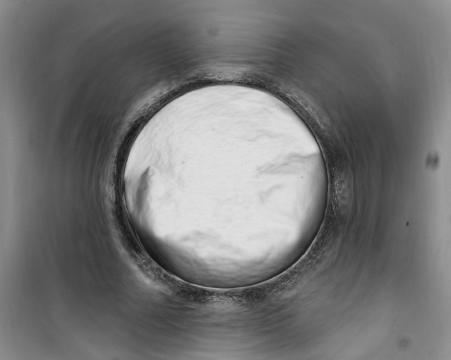 X0000100960682200807221145