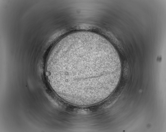 X0000100960683200807221145