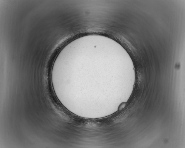 X0000100960684200807221145