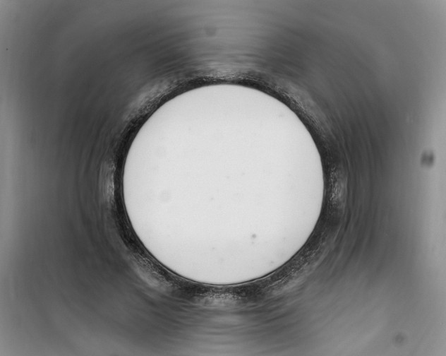 X0000100960685200807221145