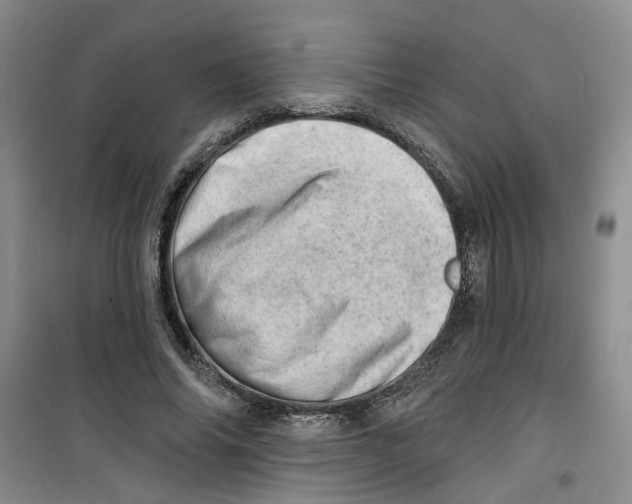 X0000100960686200807221145