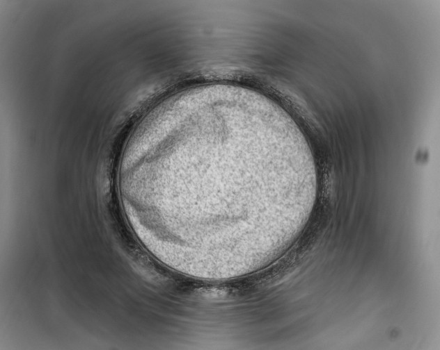 X0000100960687200807221145