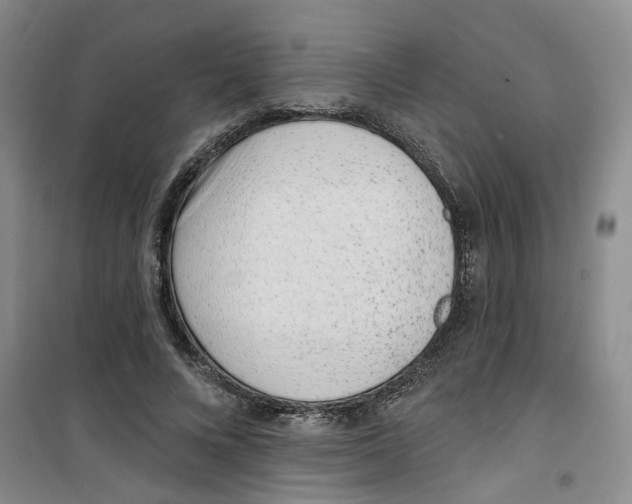 X0000100960688200807221145