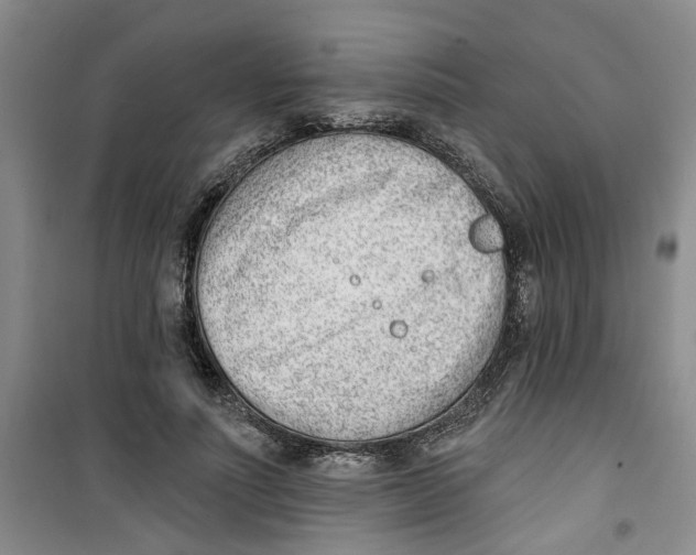 X0000100960691200807221145