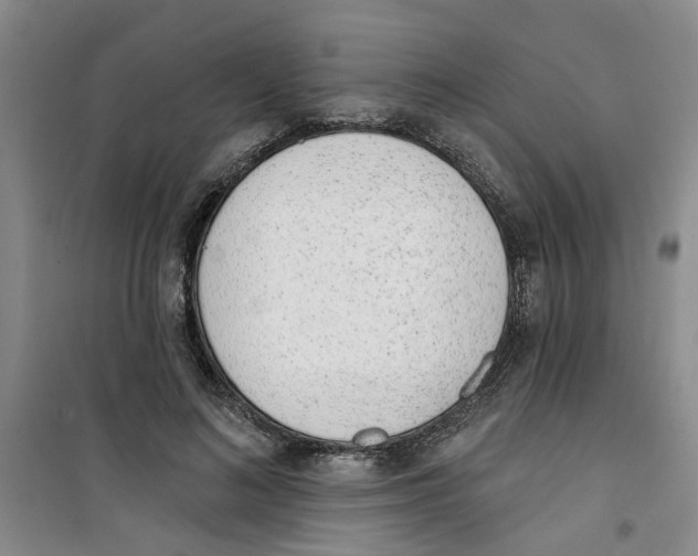 X0000100960692200807221145