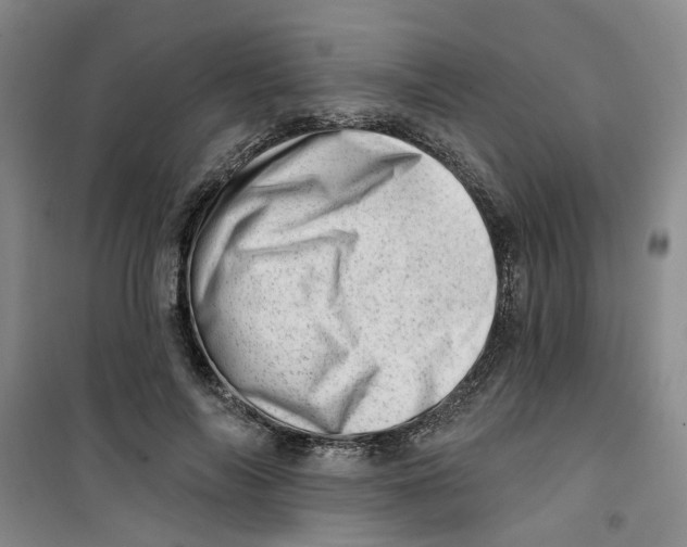 X0000100960694200807221145