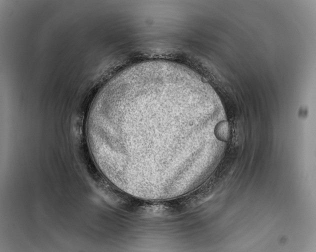 X0000100960695200807221145