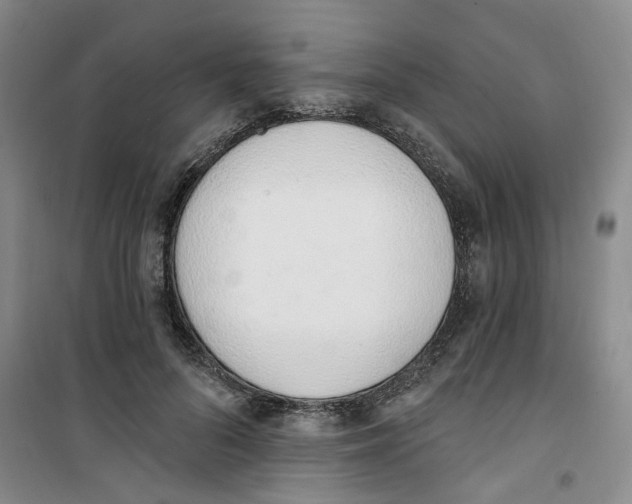 X0000100960696200807221145