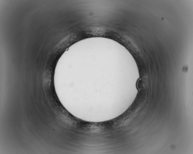 X0000100960697200807221145