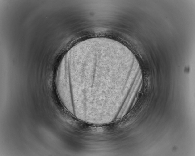 X0000100960698200807221145