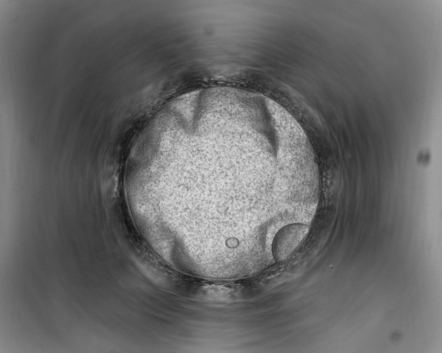 X0000100960703200807221145