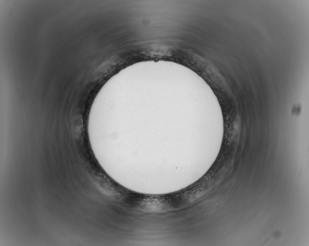 X0000100960704200807221145