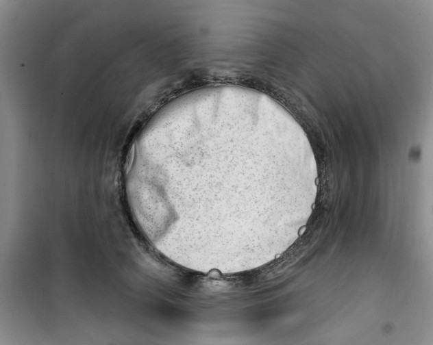 X0000100960706200807221145