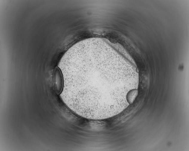 X0000100960707200807221145