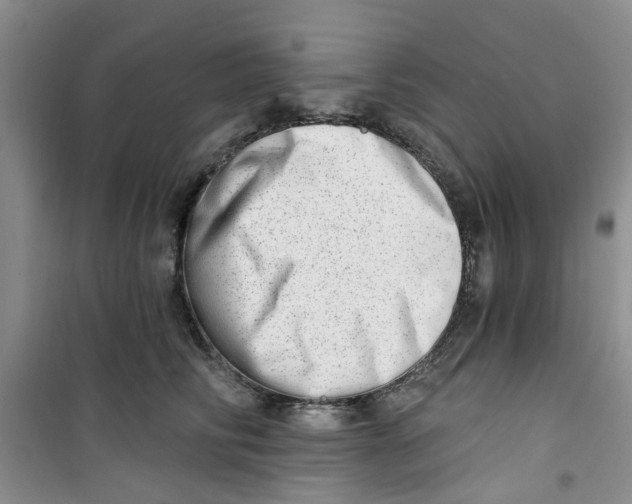 X0000100960710200807221145