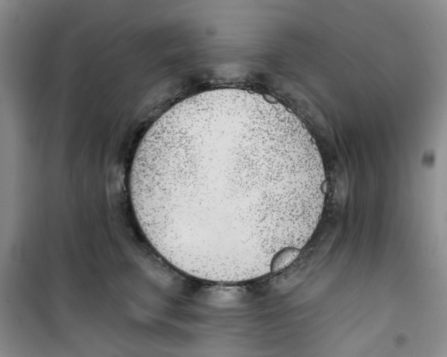 X0000100960711200807221145