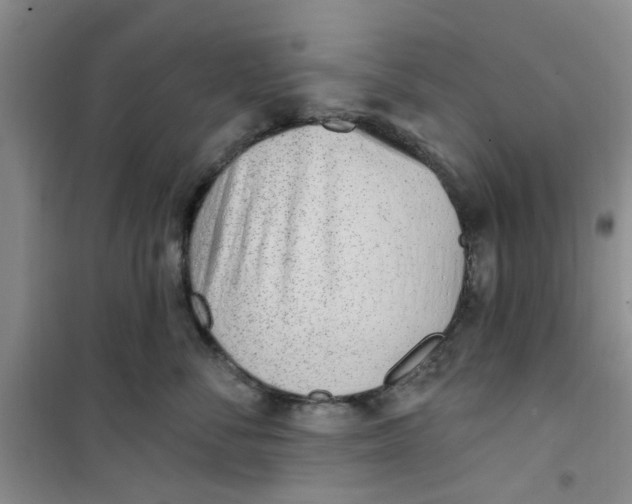 X0000100960716200807221145