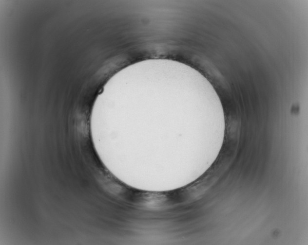 X0000100960719200807221145