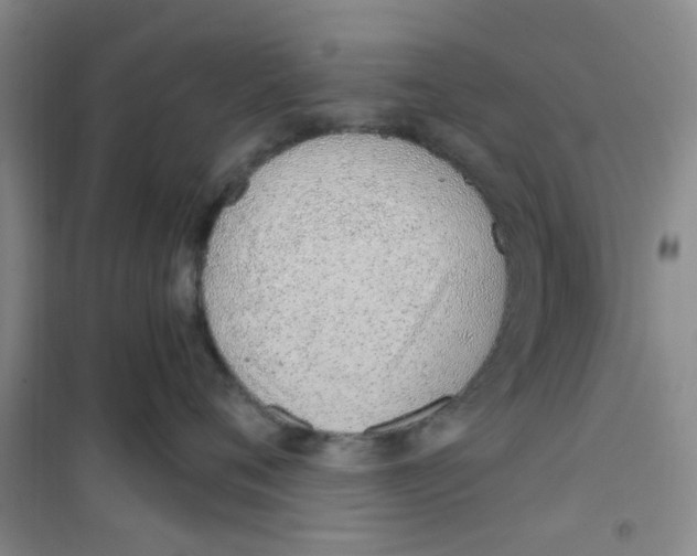 X0000100960720200807221145