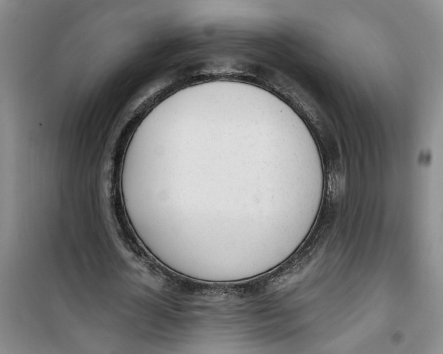 X0000100960724200807221144