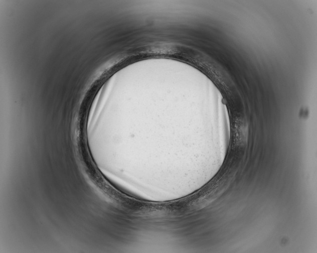 X0000100960726200807221144