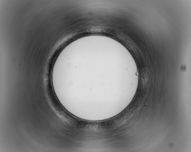 X0000100960728200807221144