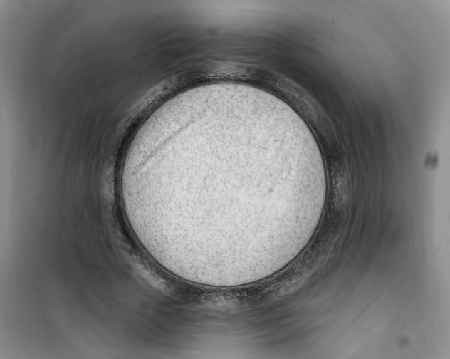 X0000100960729200807221144