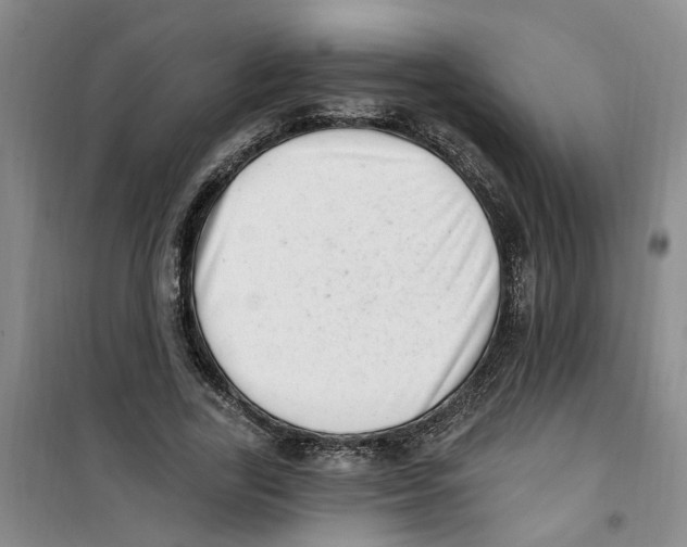 X0000100960731200807221144