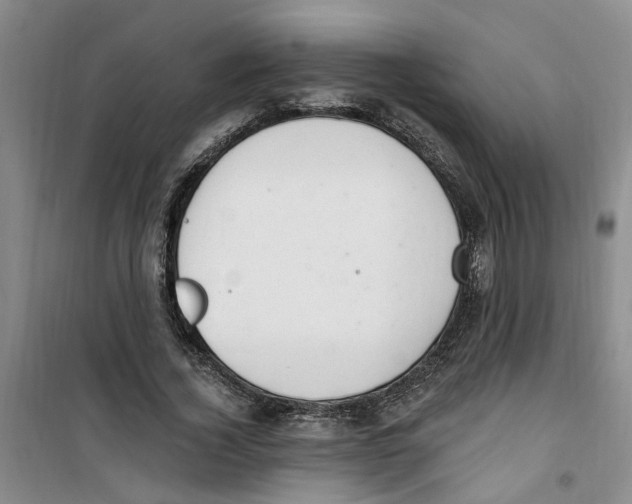 X0000100960732200807221144