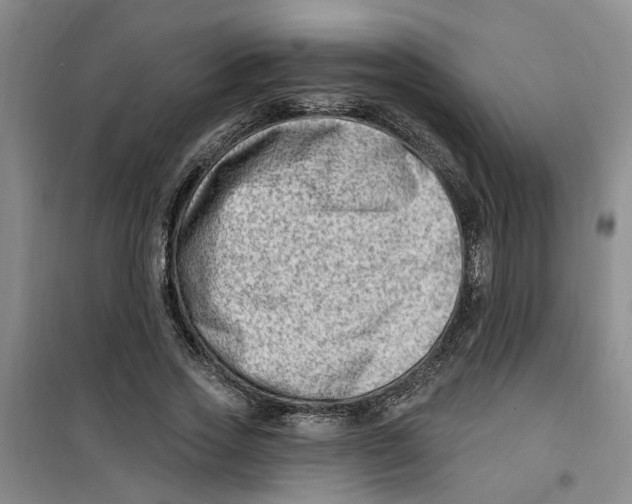 X0000100960733200807221144