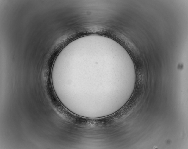 X0000100960736200807221144