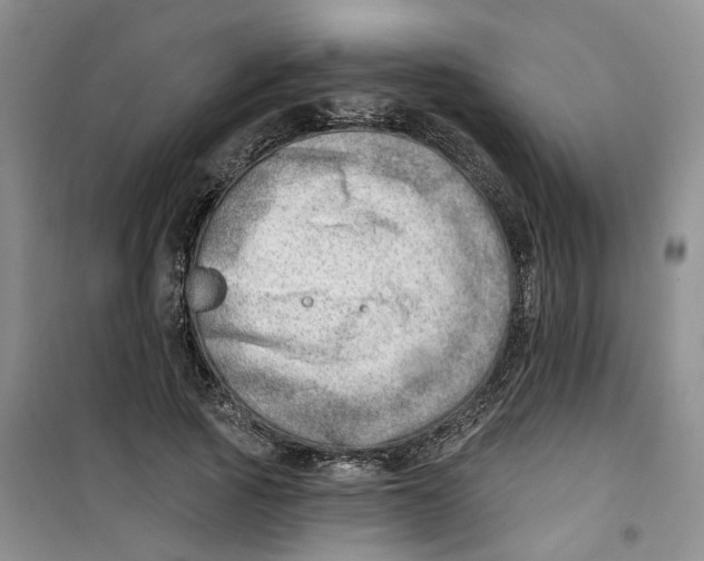 X0000100960737200807221144