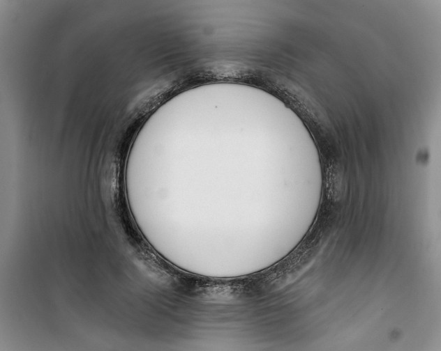 X0000100960740200807221144