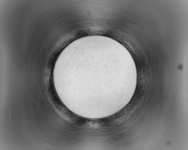 X0000100960742200807221144