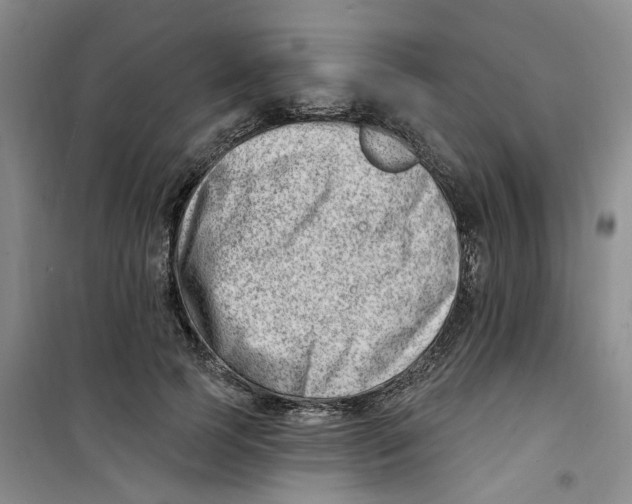 X0000100960745200807221144