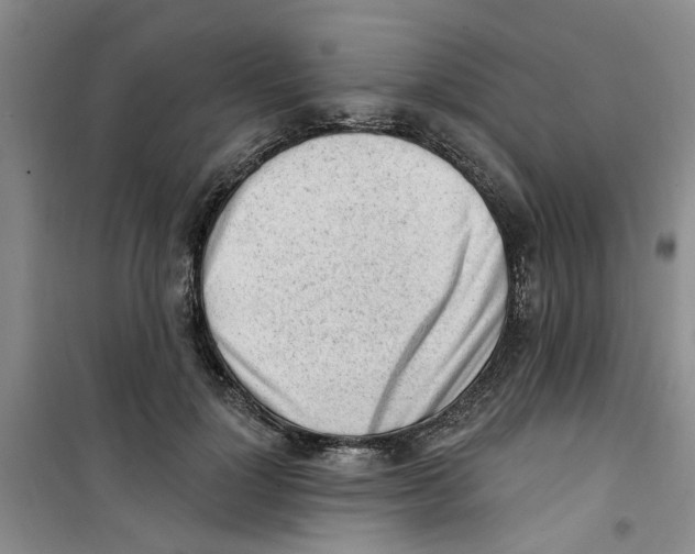 X0000100960748200807221144