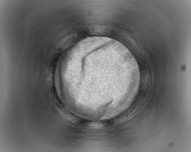 X0000100960749200807221144