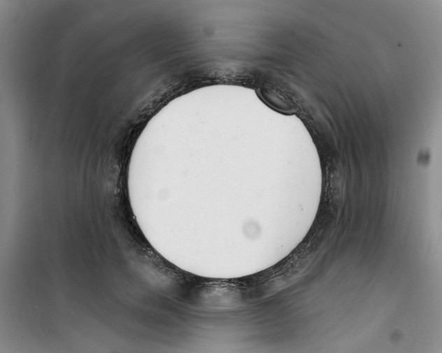 X0000100960750200807221144