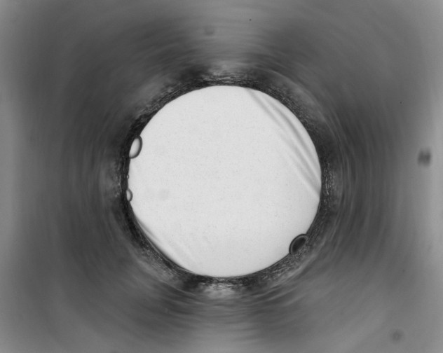 X0000100960751200807221144