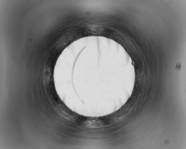 X0000100960752200807221144