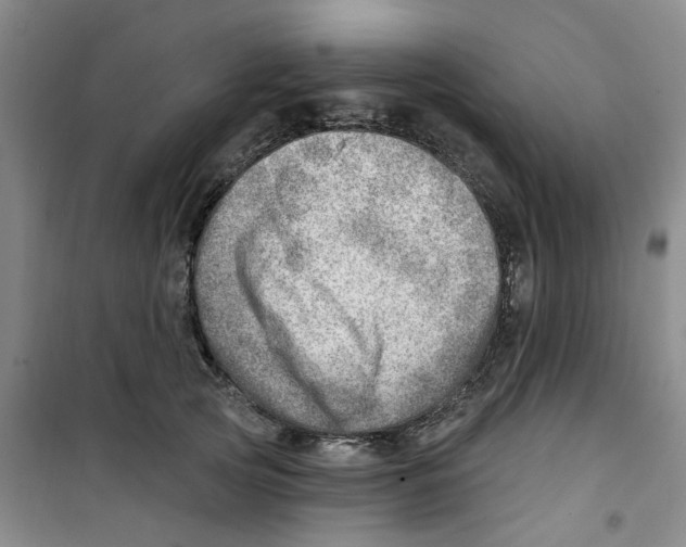 X0000100960753200807221144